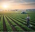 Farmer in field